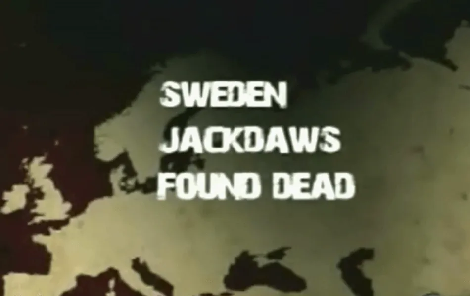 Bidl från filmen "The bay"