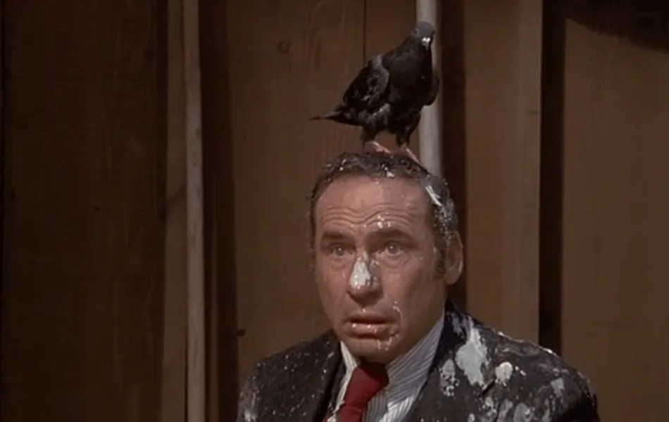 Bild från filmen Det våras för galningarna