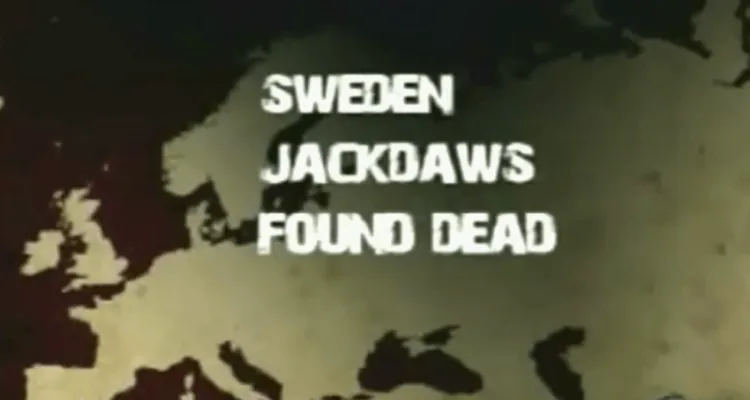 Bidl från filmen "The bay"