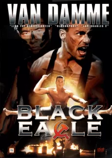 Affisch för filmen Black eagle